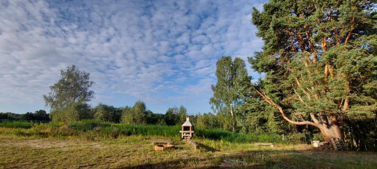 Willa Kraniec Swiata - Tylko Dla Ciebie - Zachwyca Krajobrazem, Regeneruje Cisza I Komfortem ブンツラウ エクステリア 写真